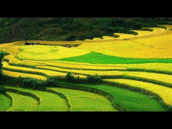 Hotspot Matrix: Đầu Tư Khởi Nghiệp, Thu Hái Thành Quả Video Ngắn