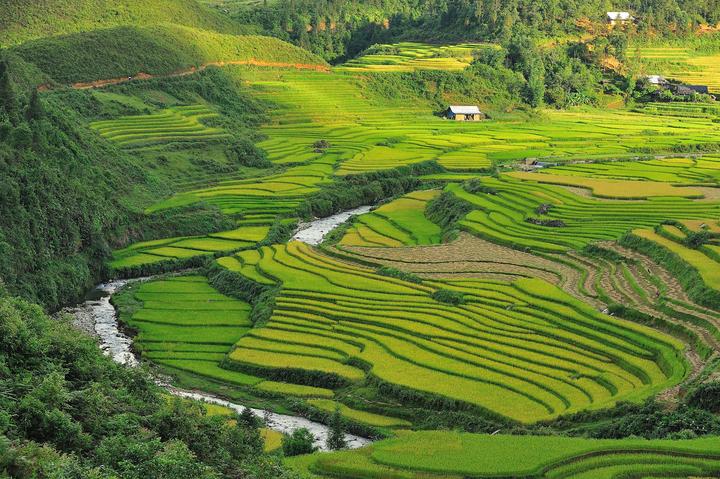 Nội dung: Mùa hè đang đến và với nó, xu hướng mới về áo vai bèo đang ngày càng trở nên