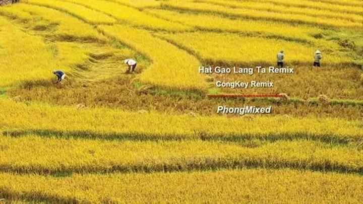 Vàng từ những khoảnh khắc đáng yêu: Kiếm tiền từ thú cưng với Hotspot Matrix