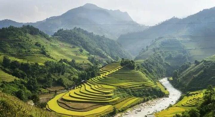 Quần dáng cong đang gây sốt với thiết kế độc đáo và tính ứng dụng cao, giúp tạo hiệu